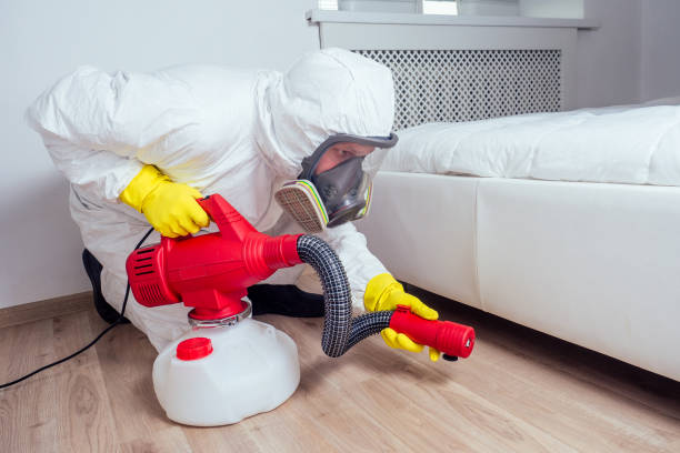 Professional Pest control in Conneaut Lakeshore, PA